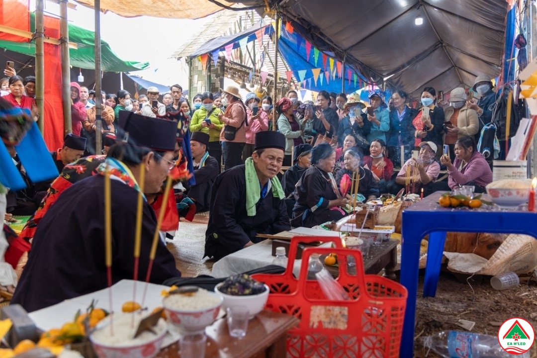 tai hien le hoi cung cau mua